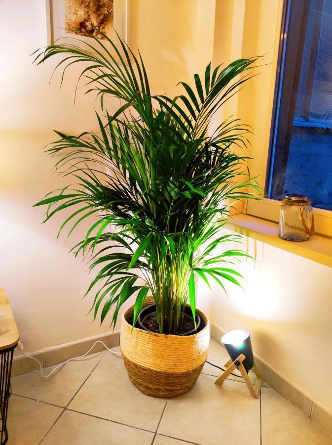 La Petite Venise, Colmar Apartment Ngoại thất bức ảnh